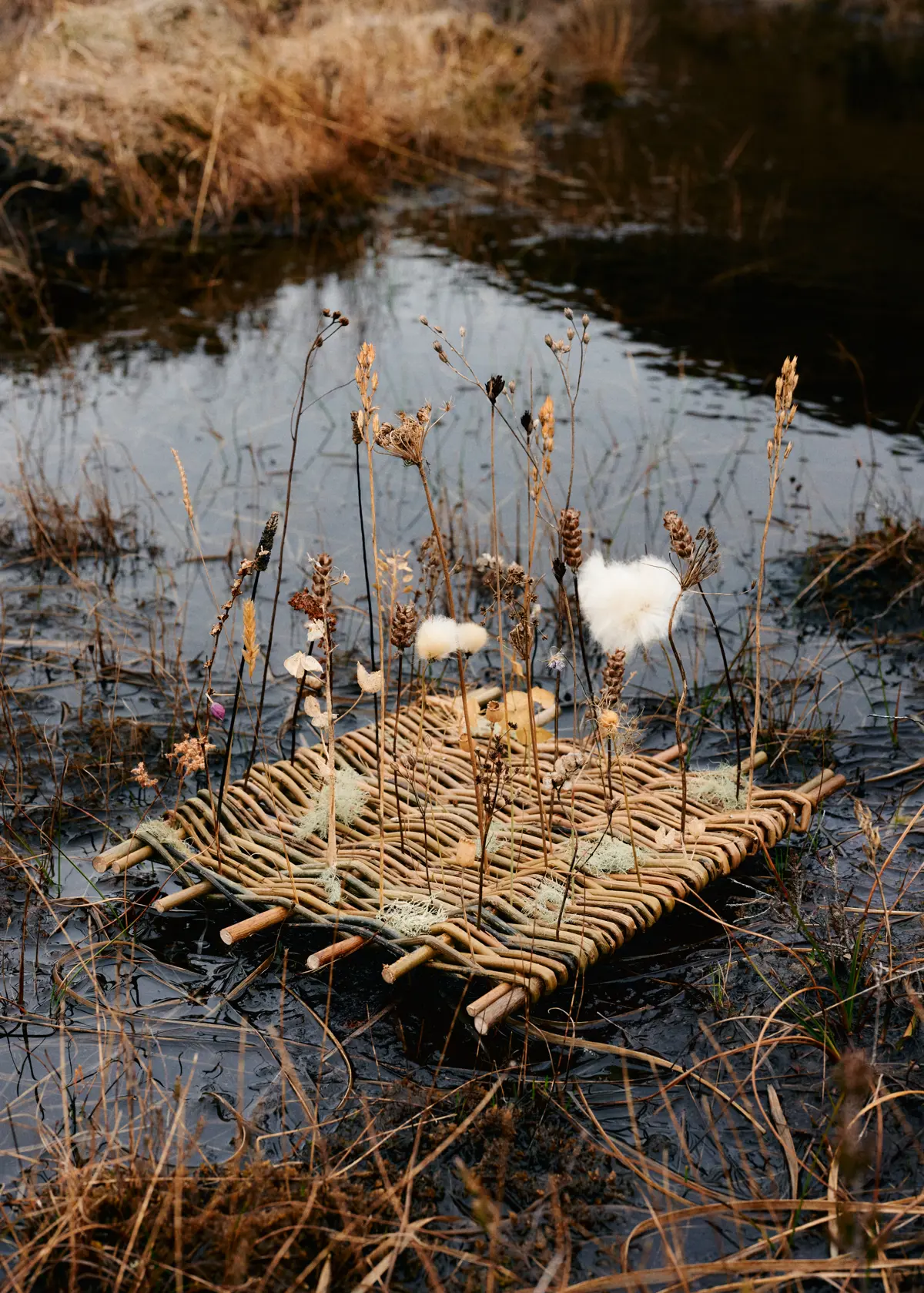 Lusan Agus Basgaid Sa Pholl Mhònadh Iseabal Hendry Lusan Agus Basgaid Sa Pholl Mhònadh Iseabal Hendry