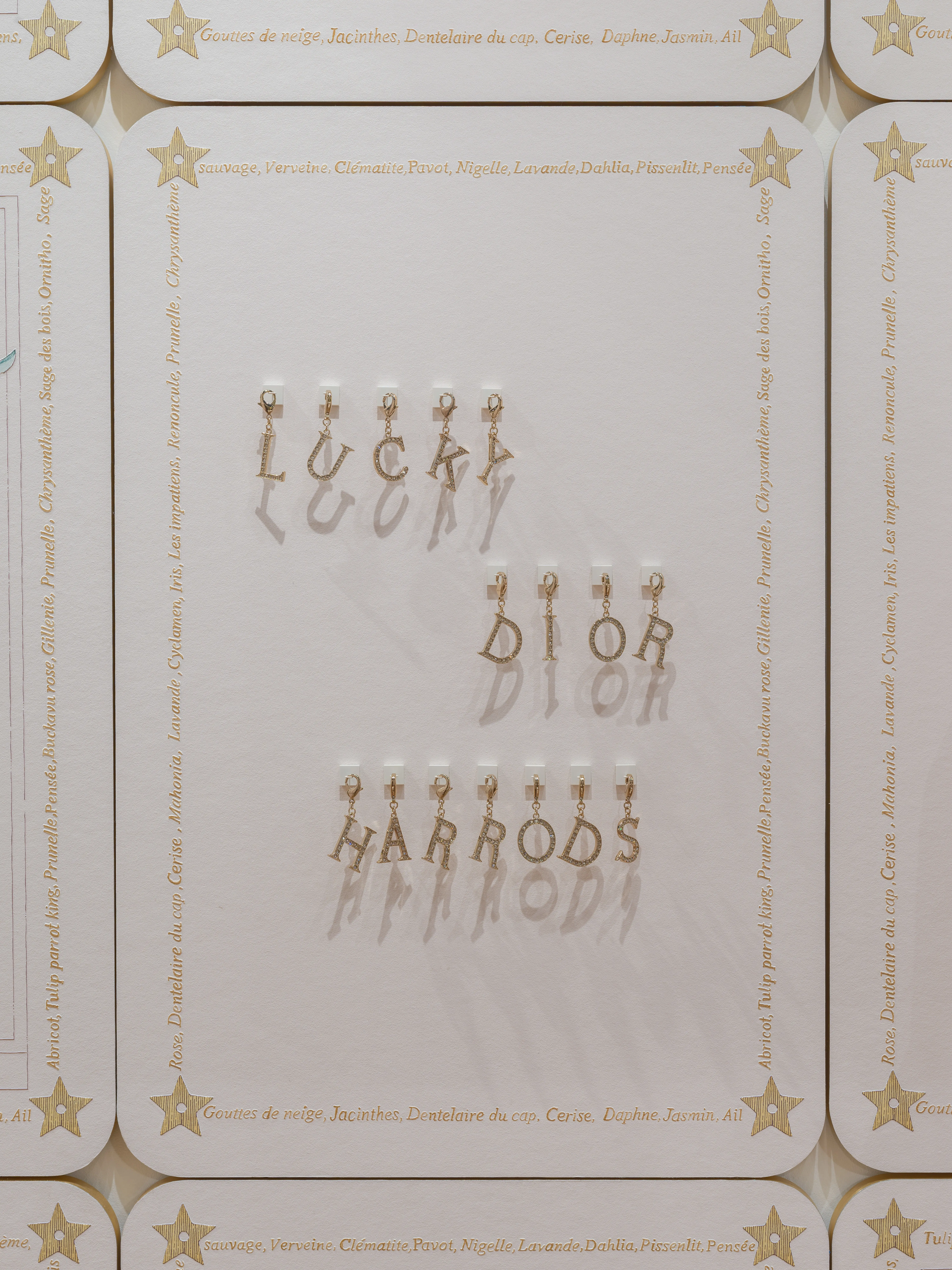 2025 07 CD Harrodpopup 192